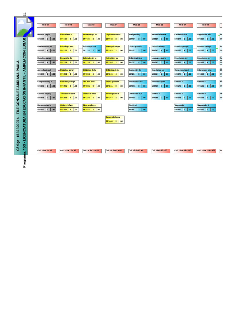 Plan de Estudio Del Estudiante | PDF | Ciencia cognitiva | Aprendizaje
