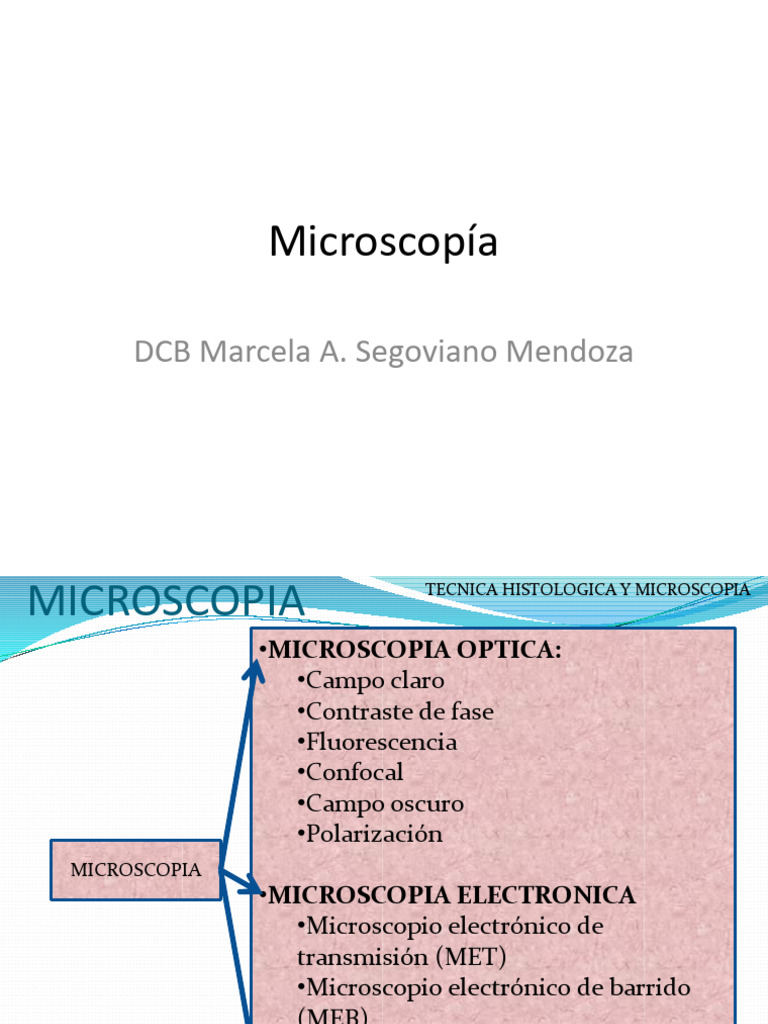 Microscopia MASM AOA | PDF | Microscopio | Microscópio electrónico ...