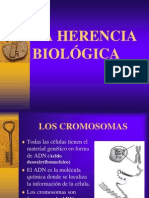 La Herencia Biologica 