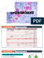 SPOROZOANS Excluding Plasmodium