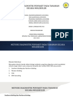 Kel 2-Biologi Molekuler-Metode Diagnostik Penyakit Pada Tanaman