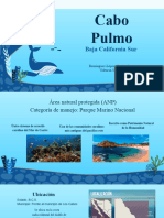Cabo Pulmo