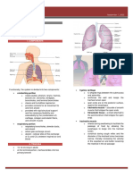 HES068 Lab Respiratory System