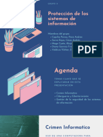 G9 - Protección de Los Sistemas de Información