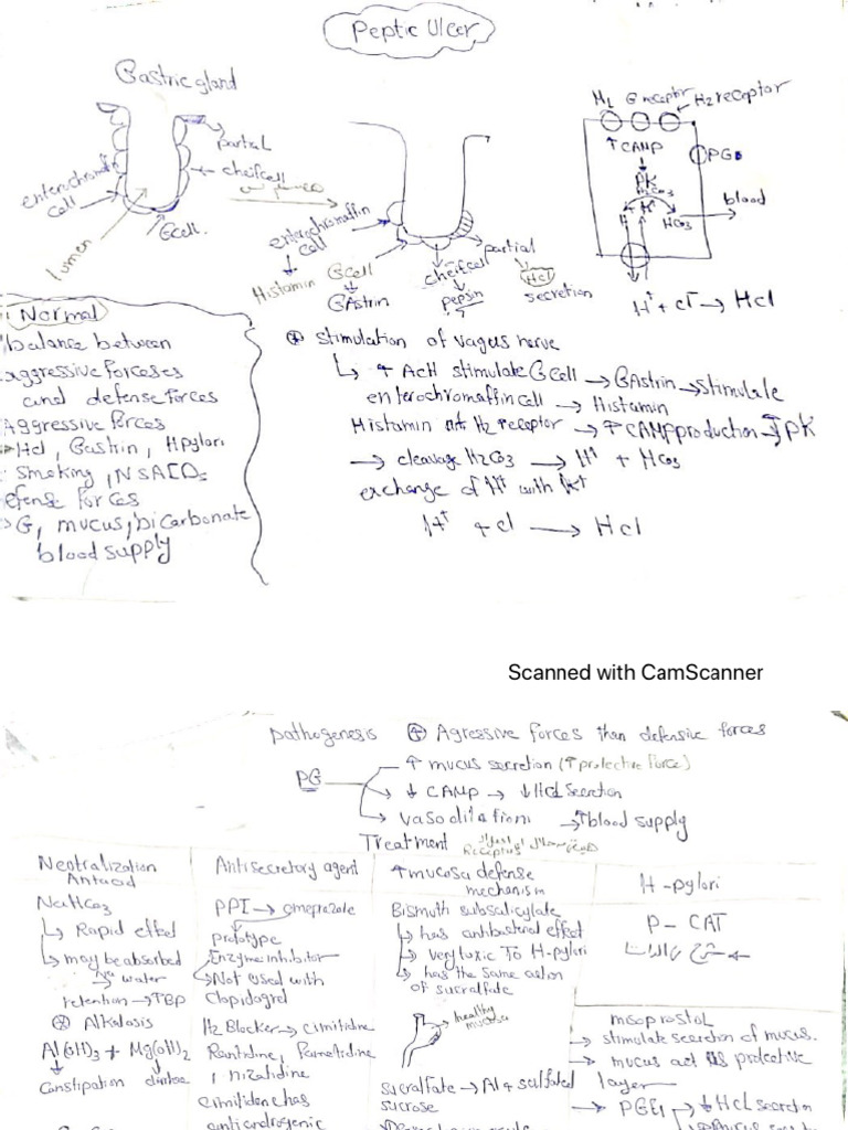 Peptic Ulcer Presentation Pdf