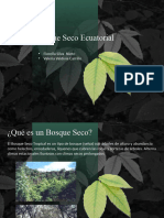 Bosque Seco Ecuatorial