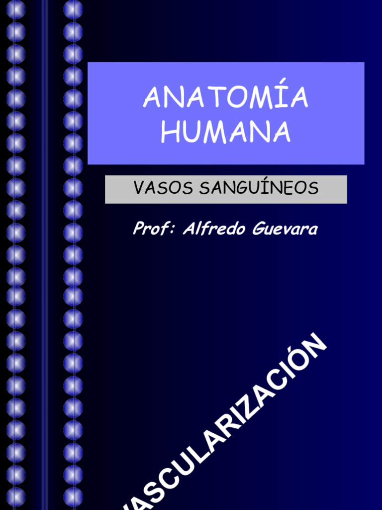 Anatomía Humana Clase 2 2023 Pdf