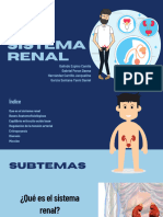 Sistema Renal