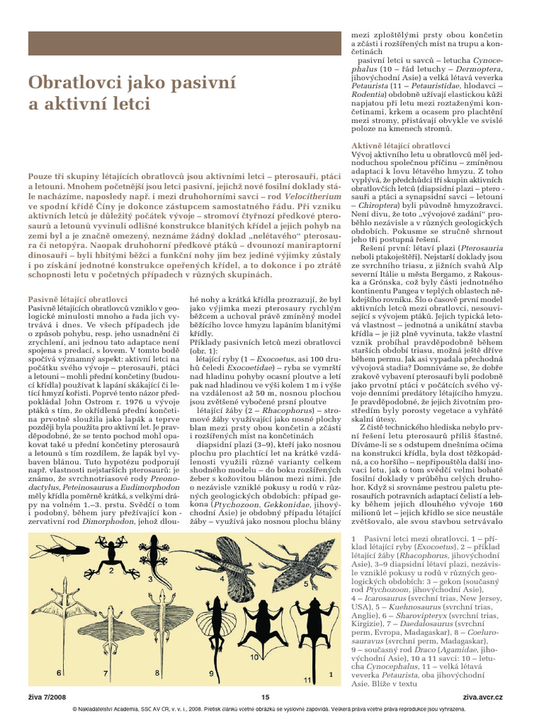 Obratlovci Jako Pasivni A Aktivni Letci | PDF