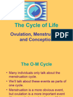 Ovarian and Menstrual Cycle