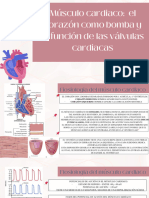 Músculo cardiaco el corazón como bomba y la unción de las válvulas cardiacas