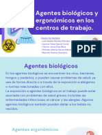 Agentes Biológicos y Ergonómicos en Los Centros de Trabajo - Equipo Sin Nombre