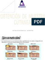 Muestra Cutanea