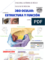 Estructura y Función Del Globo Ocular.