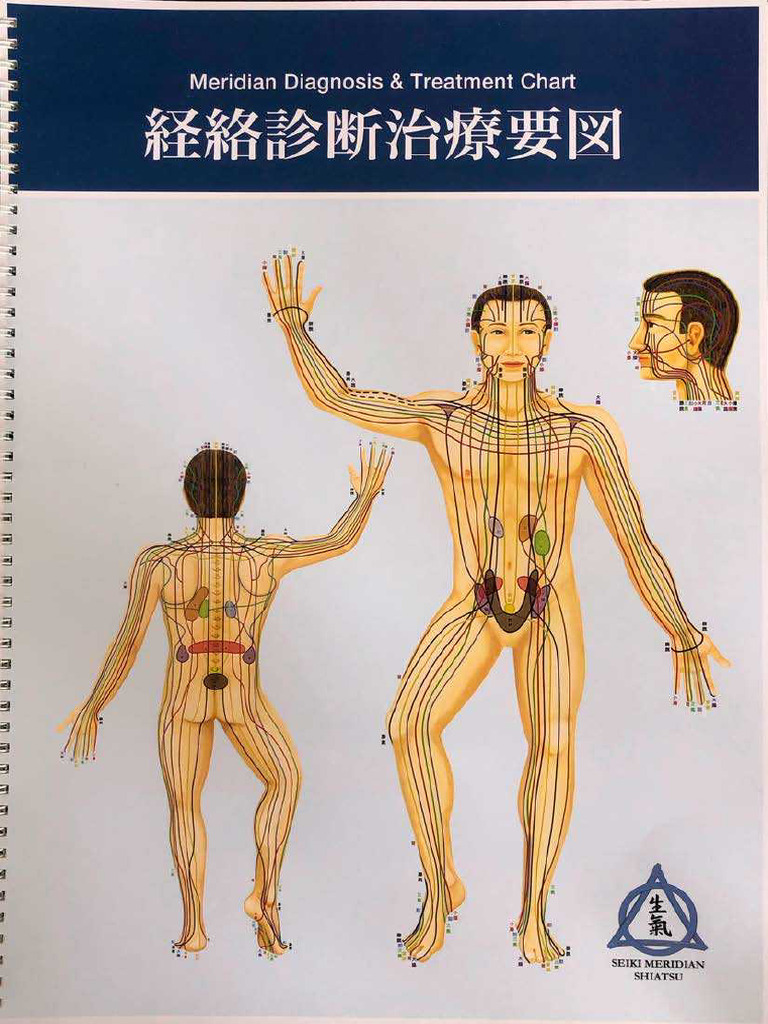 Meridian Diagnosis and Treatment Chart | PDF