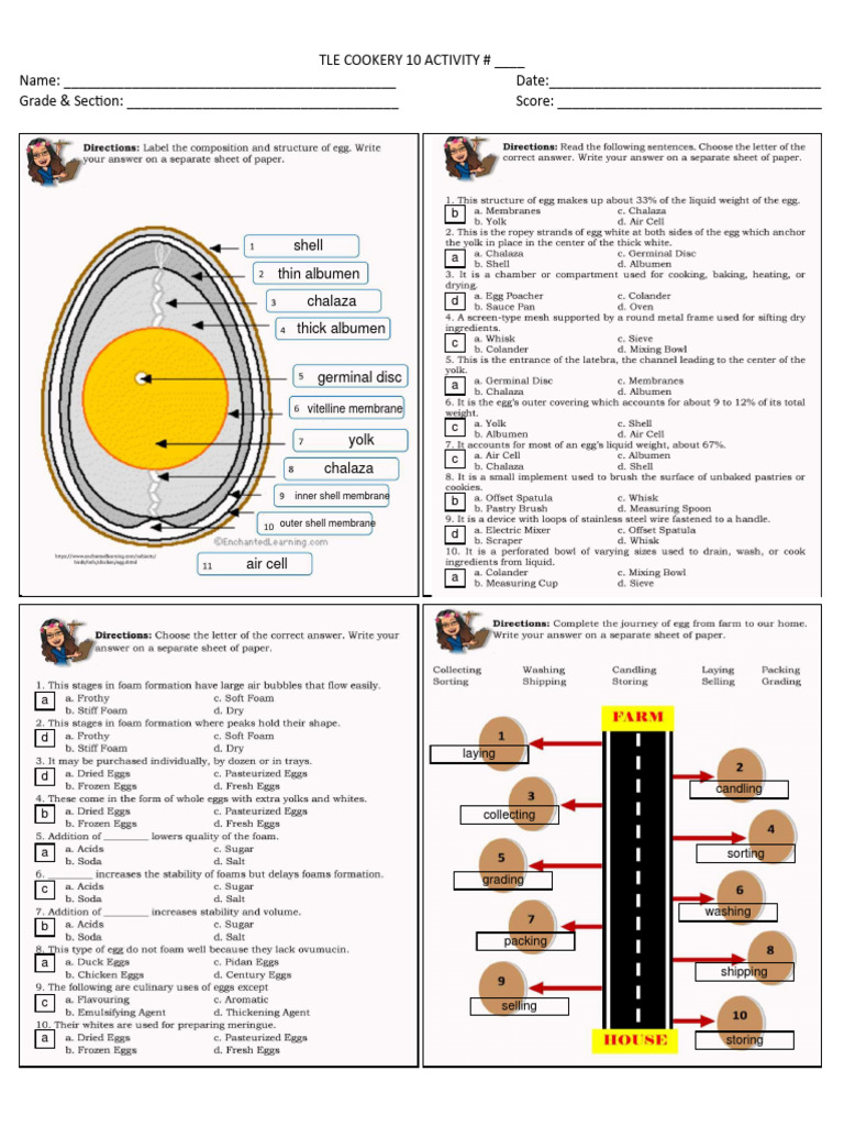 Answer Key PDF Food Ingredients Starch