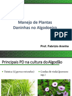 Manejo de Plantas Daninhas Algodão Pt1