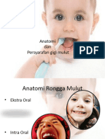 Pertemuan 3 Anatomi Dasn Persyarafan