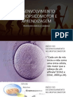 Desenvolvimento Neuropsicomotor e Aprendizagem