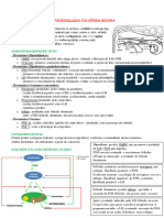 Aula 1 - FISIOPATOLOGIA DA REPRO - Fêmea