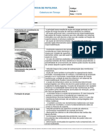 Ficha de Patologia Cobertura em Terraco.672