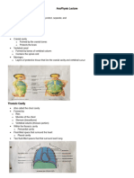 AnaPhysio Lecture