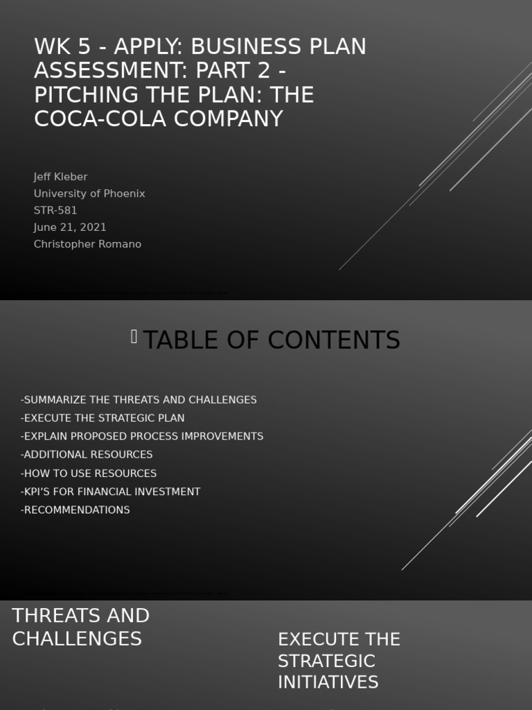 Business Plan Assessment Example