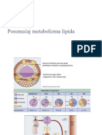 Poremećaj Metabolizma Lipida