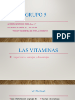 Grupo 5, Las Vitaminas