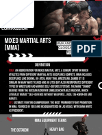 Mixed Martial Arts (MMA) 