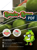 FichaTecnica Limon