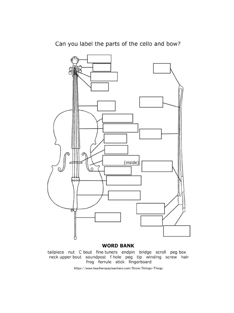 DCM - PartsoftheCello | PDF