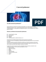 Cancerul Pulmonar