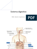 Sist. digestivo