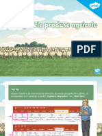 Ro2 G 1641048808 Principalele Produse Agricole Prezentare Powerpoint Ver 3