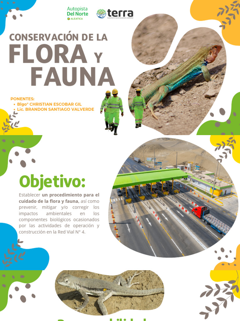Procedimiento para la Conservación de Flora y Fauna | PDF | Fauna