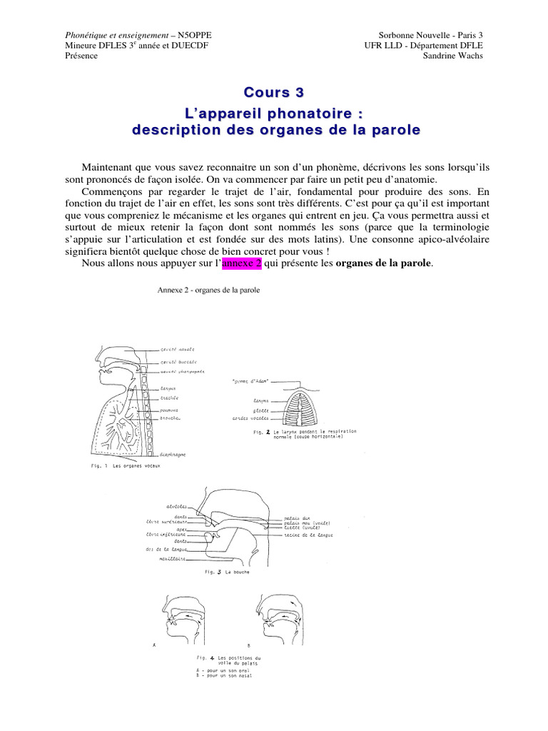 Organes de l'appareil phonatoire | PDF | Phonétique | Anatomie humaine