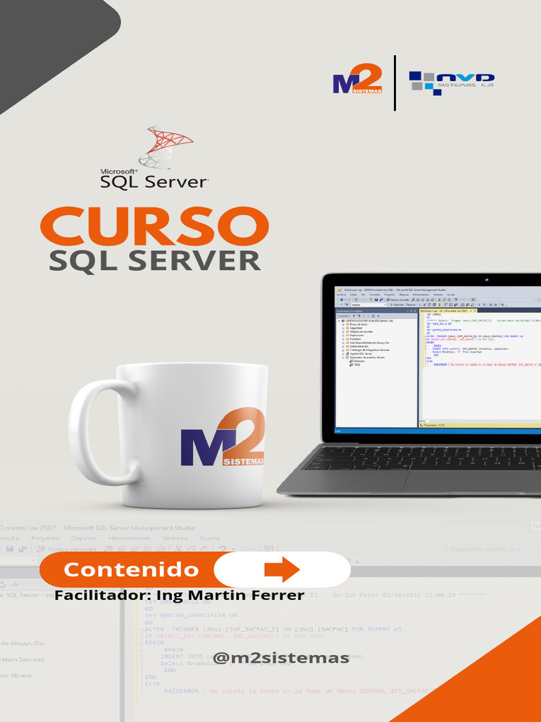 Curso SQL Server: Aprende desde cero | PDF