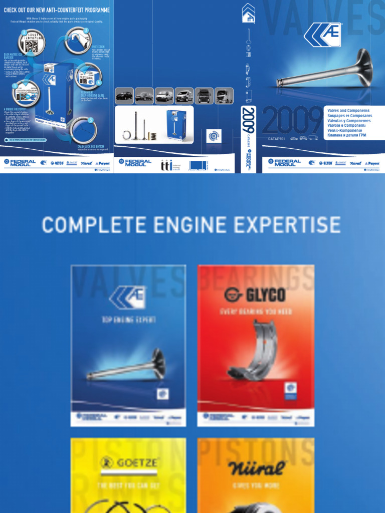 Ae Catae901 Valves 2009 | PDF | Steel | Motor Vehicle