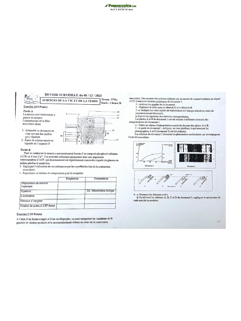 PC 2c | PDF
