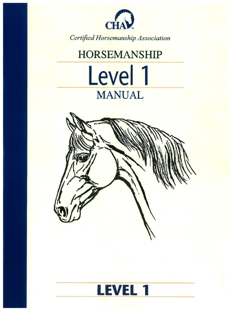 CHA Level 1 | PDF