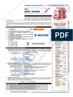 Raz Verbal Ii Guía 3 Anual 2022 - 5