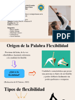 Flexibilidad Grupo 3