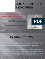 Produccion de Pollos de Engorde - Pptxrosita