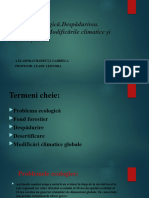 Problema Ecologică - Despădurirea. Deșertificarea - Modificările Climatice Și Consecințele Lor