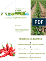 Brochure Asamar Ají - Picante