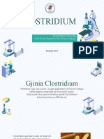 Clostridium I