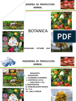 Botanica