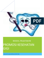 Modul Penatalaksanaan Promkes