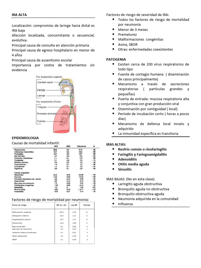 Factores de Riesgo y Tratamiento de IRAs en Niños | PDF | Neumonía | Tos